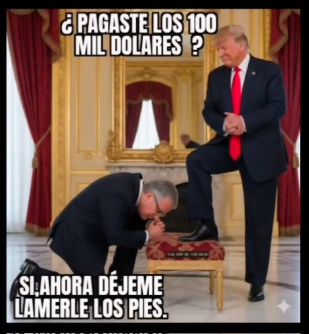 Casiopea (@marthacasiopea) on Twitter photo 