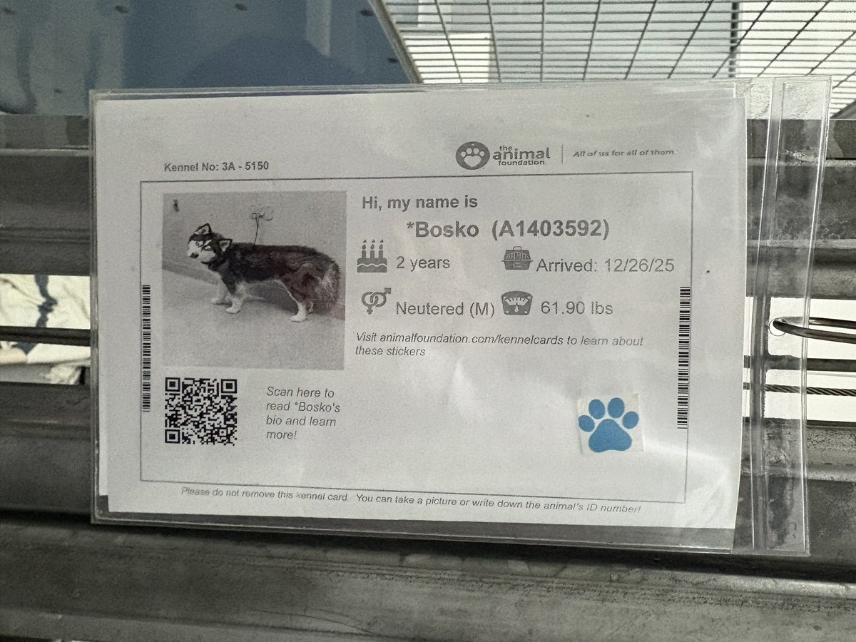 Find someone who looks at you the way Bosko looks at Pup-Peroni. <a href="/animalfndlv/">The Animal Foundation</a>