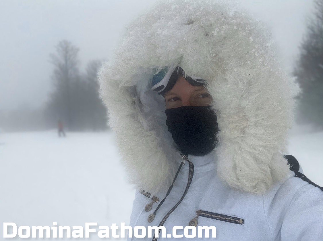 Domina Fathom • Chicagoland tweet media