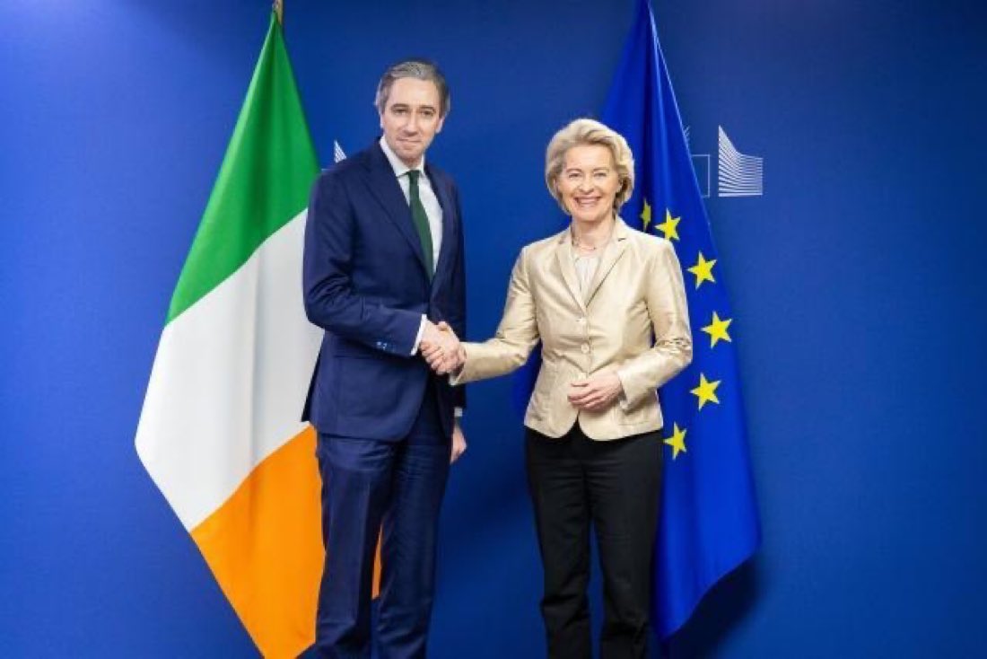 🇮🇪🇪🇺 | El viceprimer ministro irlandés, Simon Harris, ha revelado que utilizará el hecho de que Irlanda ocupe la presidencia rotatoria de la UE el próximo año para impulsar la prohibición de perfiles anónimos en las redes sociales en toda la UE.

Dijo que también impulsará una