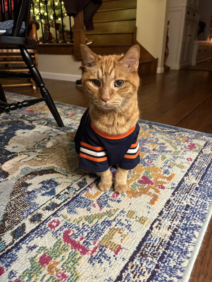 Sandra Vox tweet media