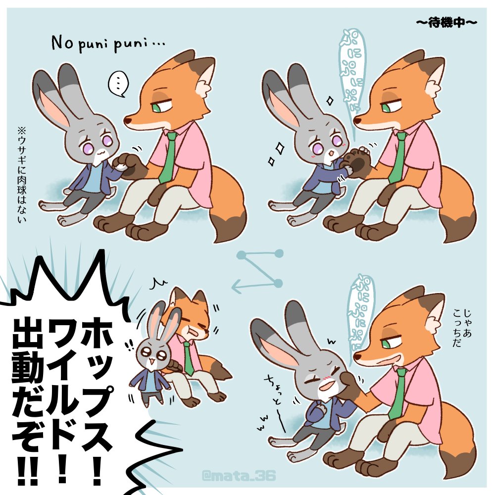 mata_36's tweet image. ニクジュディ🐾
隙あらばイチャついてる