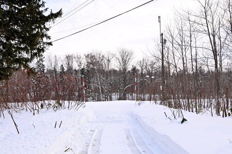 ひろりん (@hiroring0323) / Posts / X