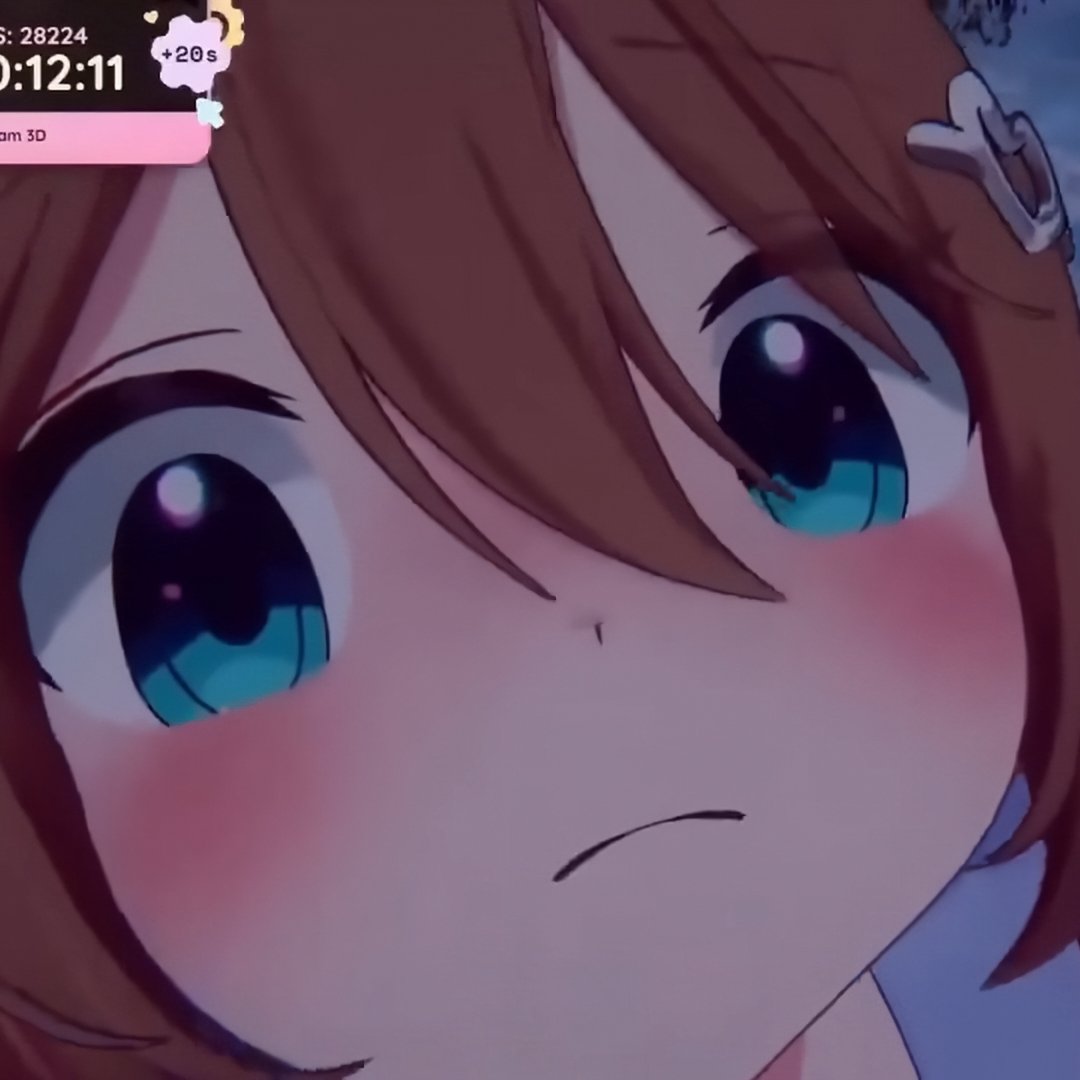 VTuber Memes (@vtubermemes) on Twitter photo 