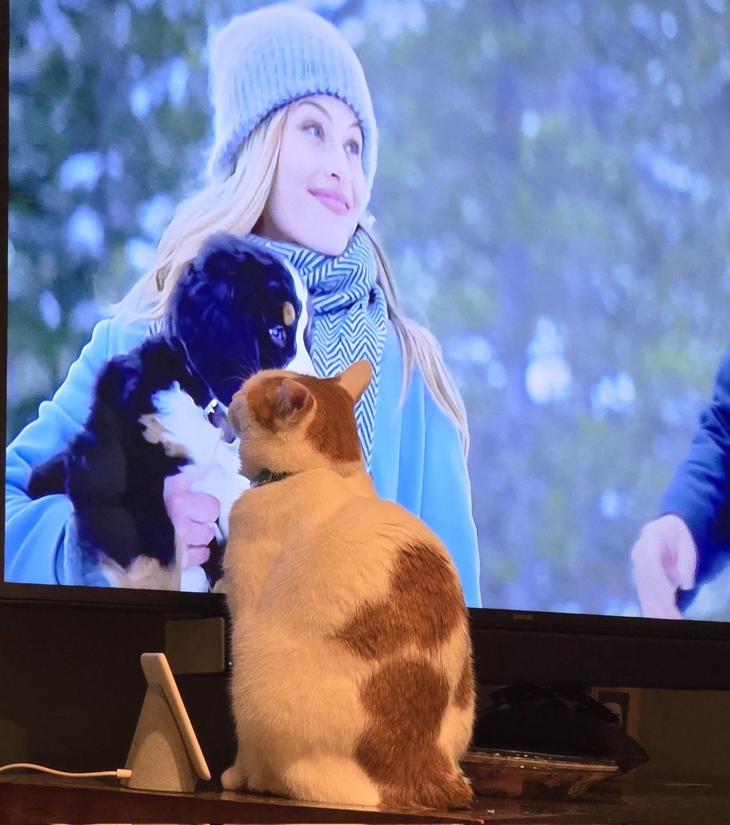 Busy Boy Floyd tweet media