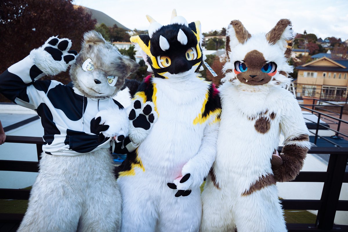 ジッポ / Jippo ➡️ JMoF2026 (@jippo_wolf) / Posts / X