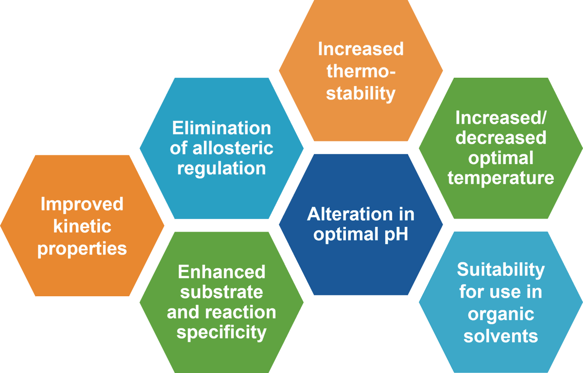 Unlock next-gen biocatalysts with Creative Enzymes’ Enzyme Engineering &amp; Modification services! Tailored optimization from rational design to directed evolution and advanced modifications. creative-enzymes.com/service/enzyme…
