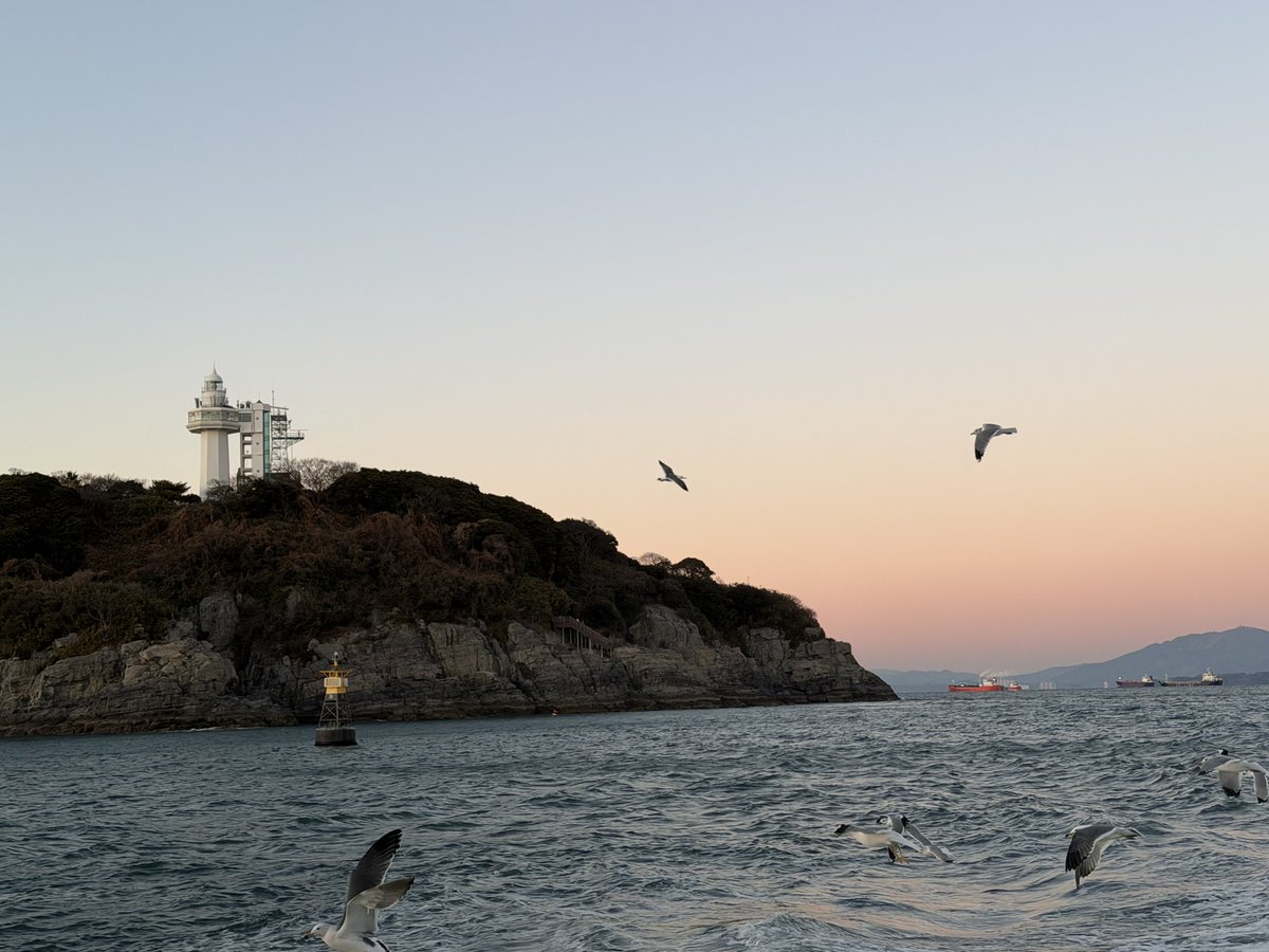 리플코인파는곳[구글도배,구글찌라시 텔 𝐒𝐄𝐎𝟗𝟐𝟏]테더현금화.kzs