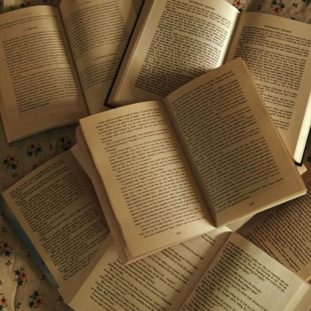 lua 📖 tweet media