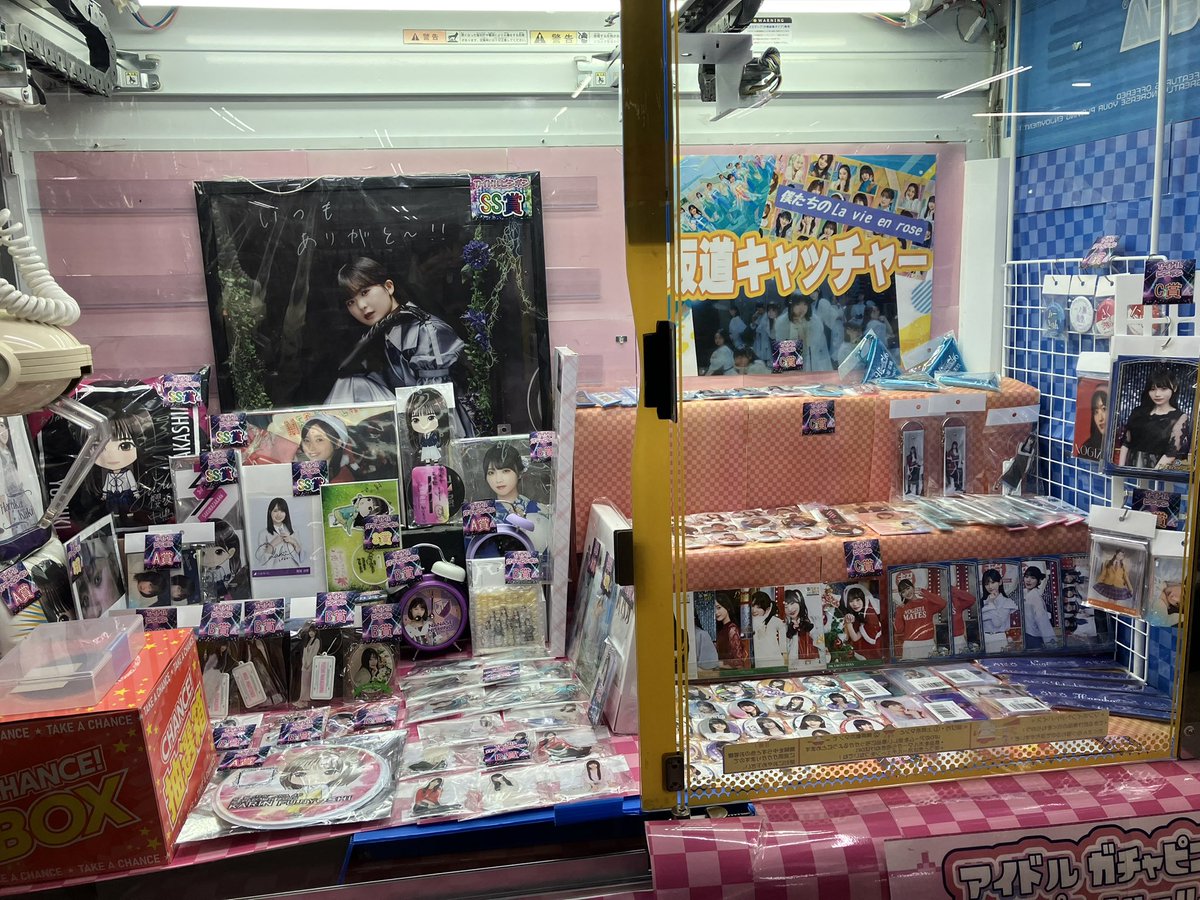 生写真　坂道　専用グッズ 乃木坂46 OFFICIAL WEB SHOP | 乃木坂46 グッズ通販サイト