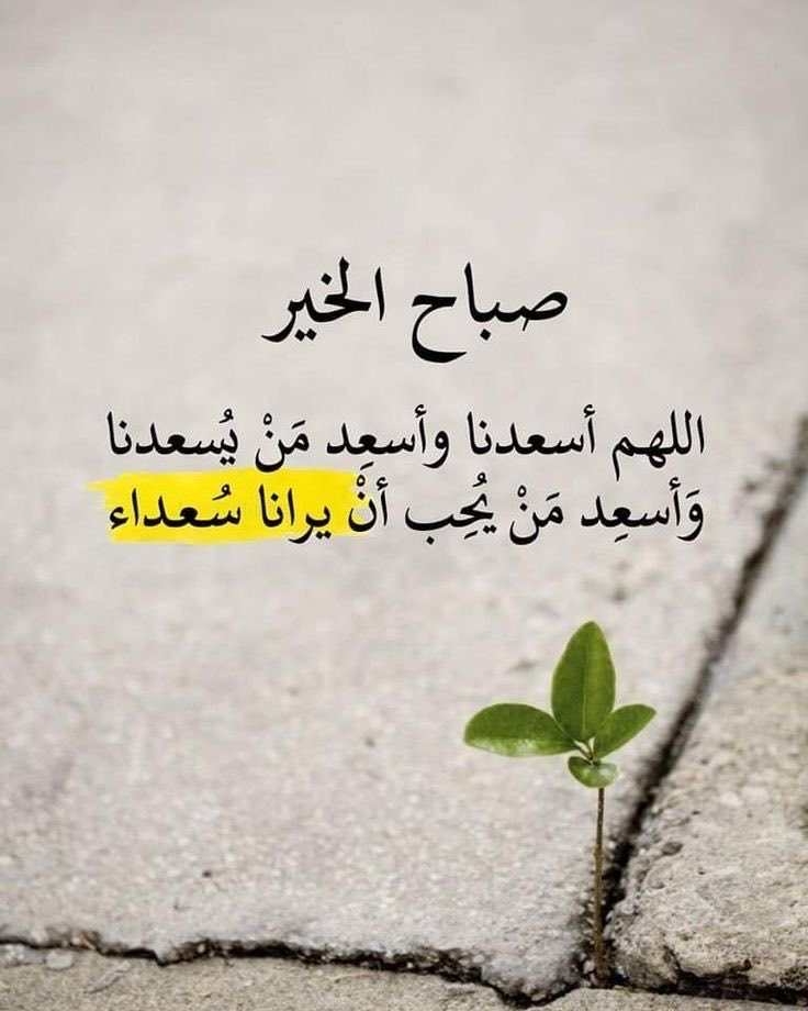 muna_ali19's tweet image. ❤️🕊️
….
صباح الود والوفاء، حين يكون القلب مخلصاً،والنية صافية، والعهد ثابتاً مهما مرت الأيام🦋👌
🌹……………..🕊️
#صباح_الخير 
#صباح_الخير_والسعاده 
#صباح_الأشياء_المُشرقة