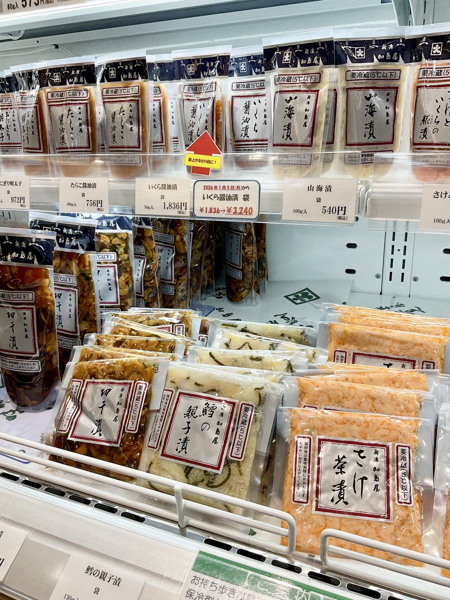 期間限定値下げ サバルヤシ 大株 幹上がり 期間限定値下げ サバルヤシ