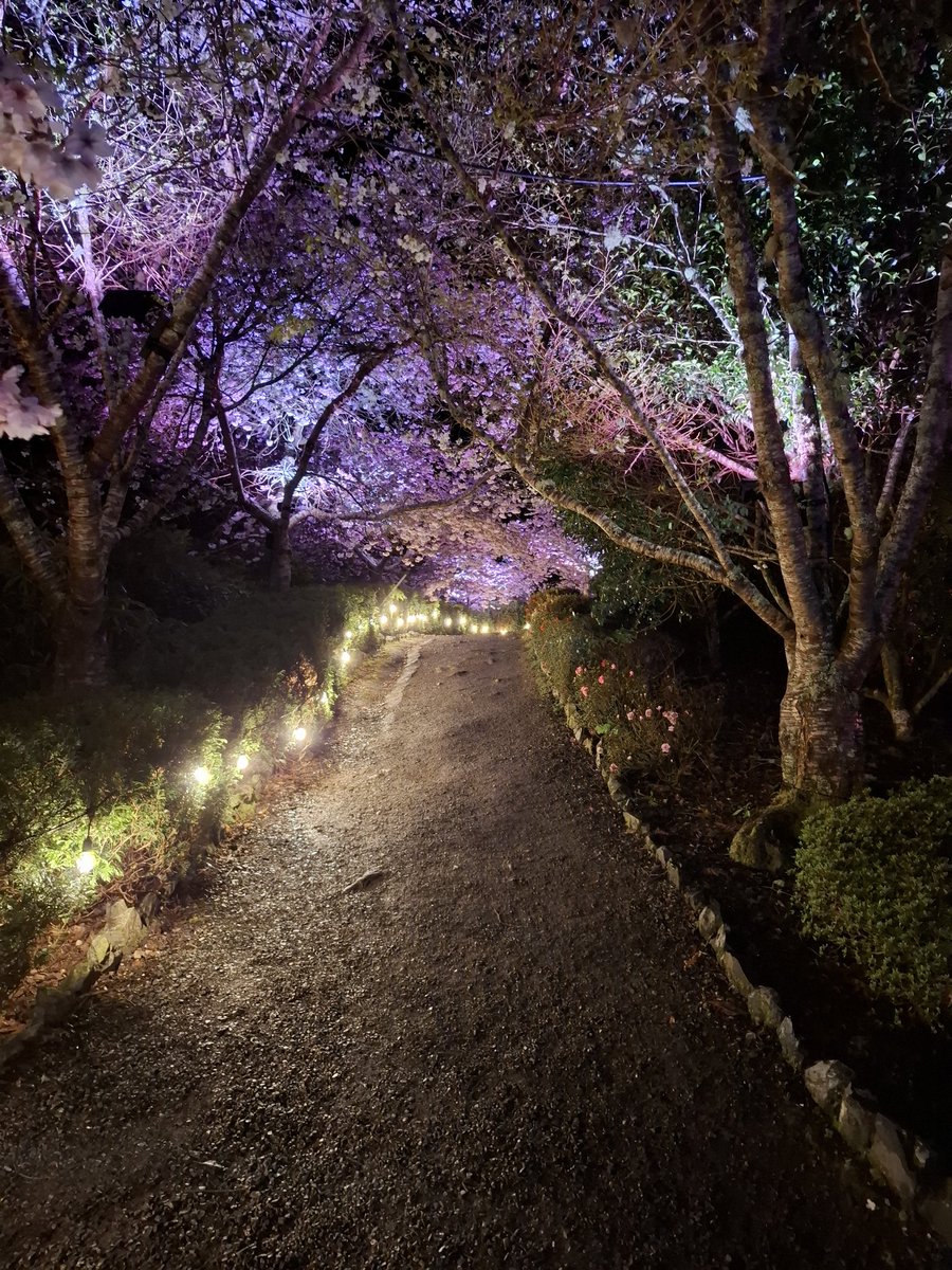 I know your eyes in the morning sun