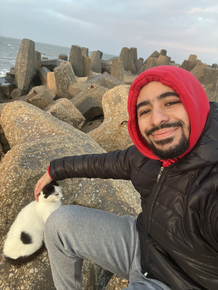 نحلة tweet media