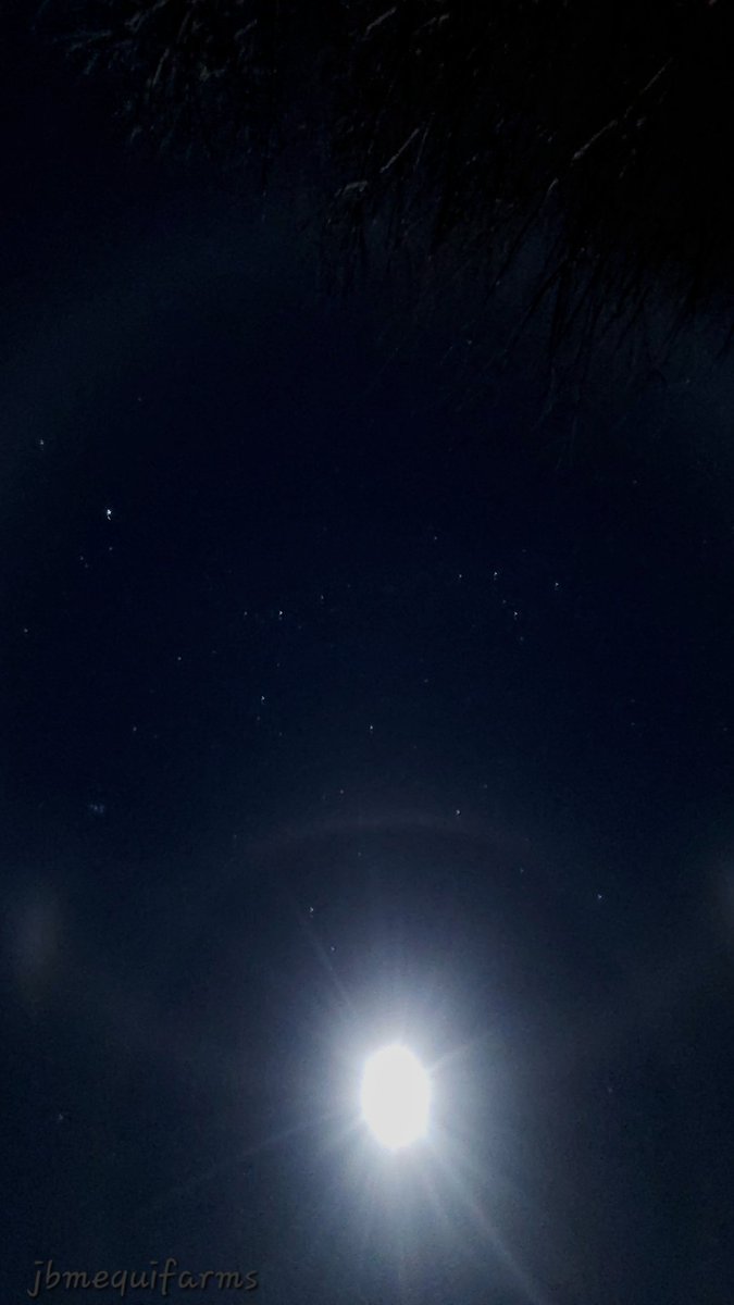 JBMEquiFarms's tweet photo. How cool is the sky tonight !!! 

Two full circles and moon dogs !! 

I'd have tried for better pics, but it's frigid, and my fingers froze pretty fast. 

#beauty #nightsky #moon #mbweather #mbwx #Astronomy https://t.co/EIc8bFtqXj