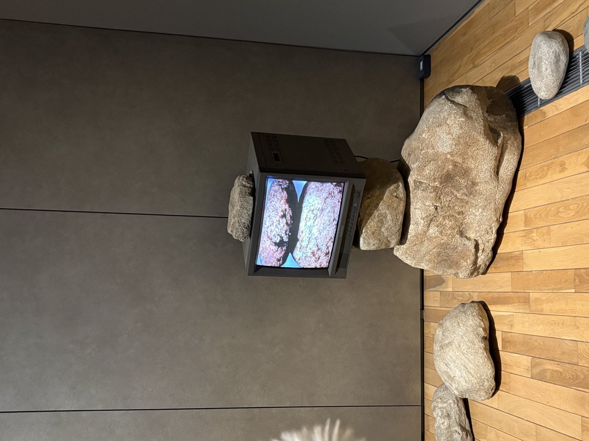 rockstar_potato's tweet image. 크리스마스🎄🎁
혈육이랑 놀고옴(〃ω〃)