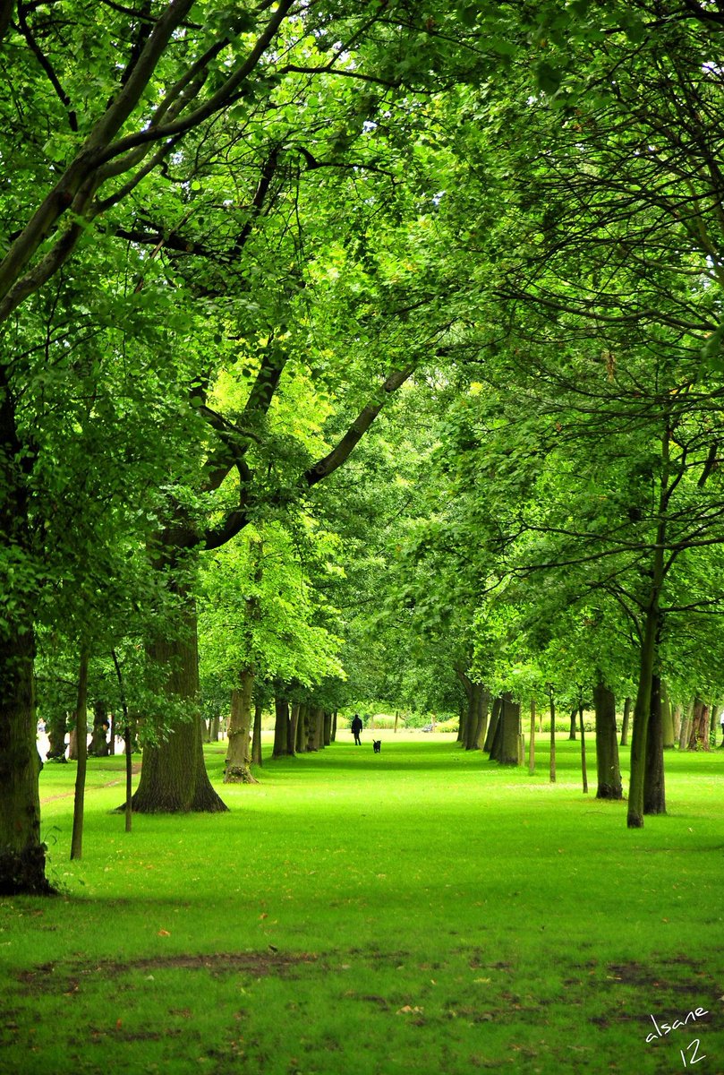 sobfol2016's tweet image. 4155円無駄にした 😞