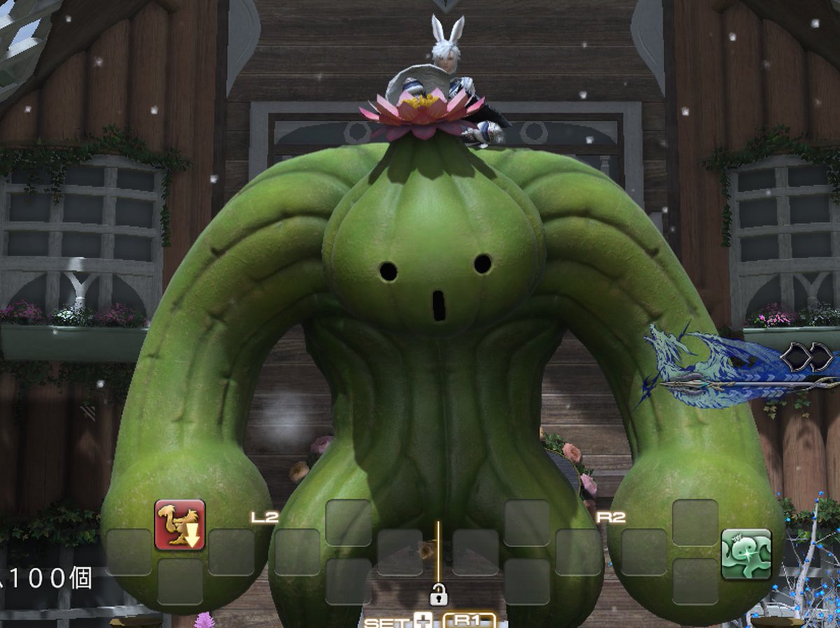 サボテンダー クリスマスプレゼント貰ったー！！！！ マッチョなサボテンダー🌵今年1