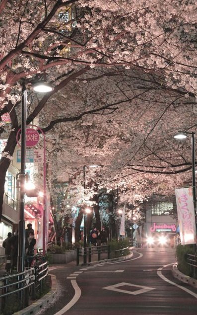 2933円損した☕ 👩‍👦