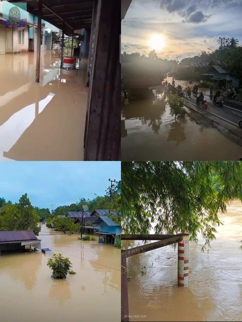 Tanyarl 💚 tweet media