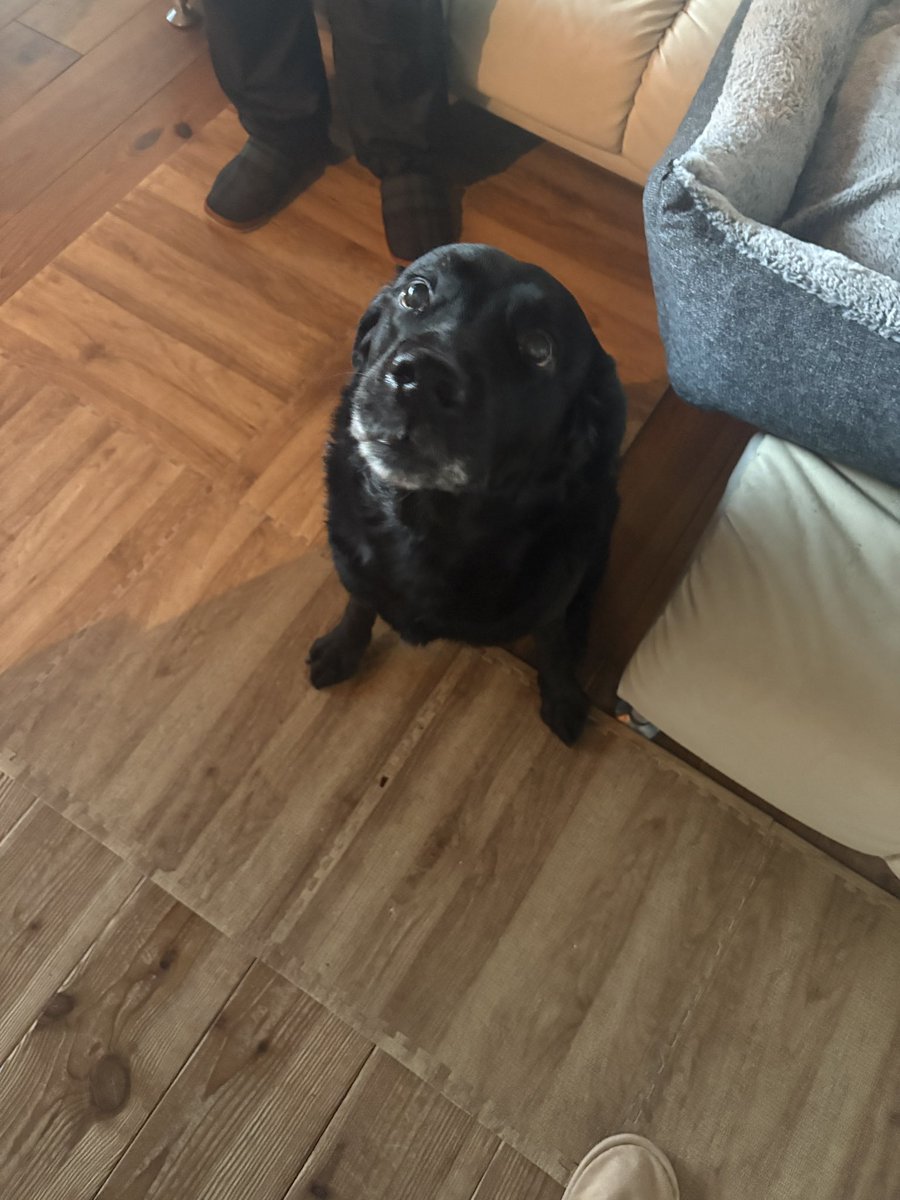 【りょーたろー】 りょーたろー (@riorio_fit) / Posts / X