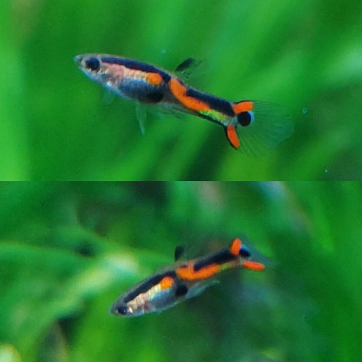 まさ (@masa_1552) / Posts / X