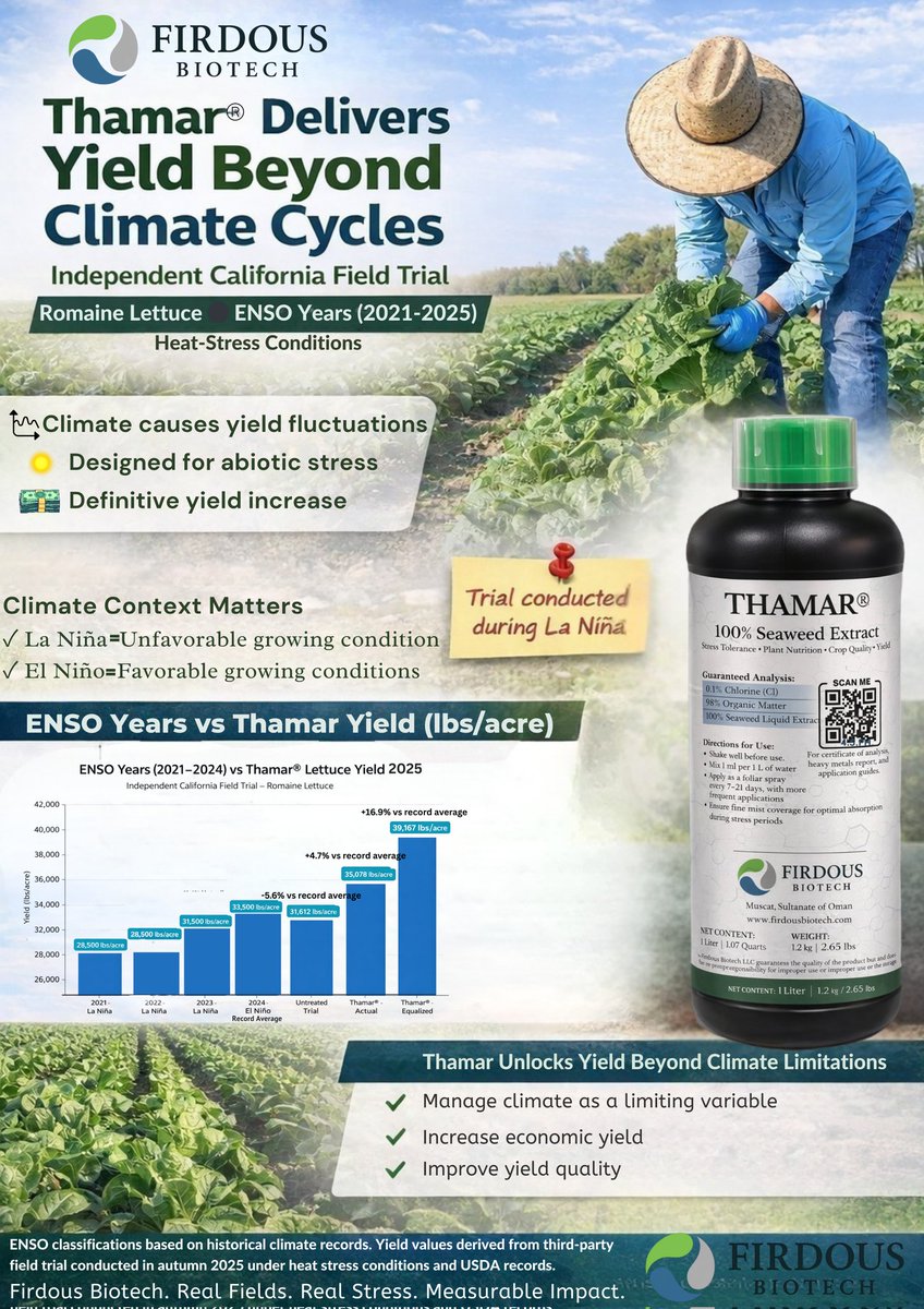 FirdousBiotech's tweet photo. 🌱 Proven yield gains under extreme heat stress

In an independent California field trial, Thamar® delivered exceptional performance in romaine lettuce—even during the 2025 La Niña cycle, when high temperatures typically suppress yields. https://t.co/1WsDLzUciB