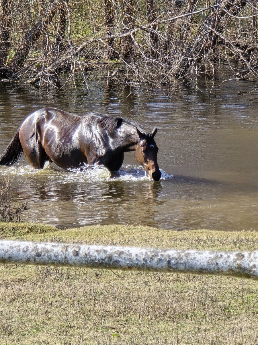 Remember Me tweet media