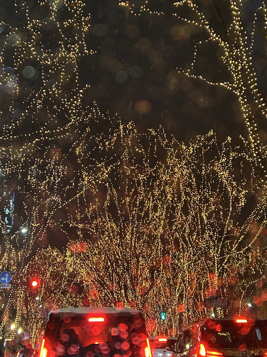 丁度雪が降った日❄️
#光のページェント