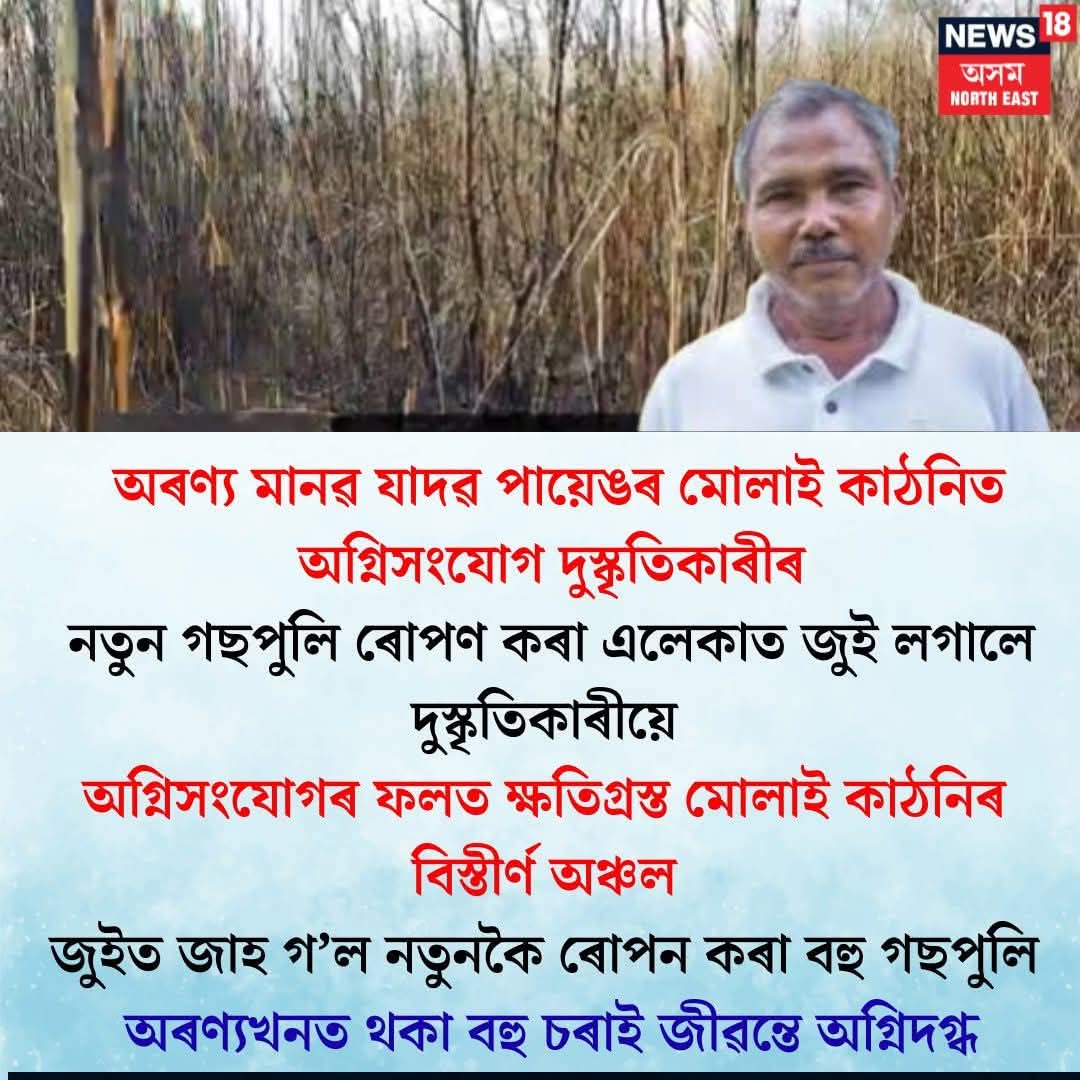 griffonage🗾🗾🗾anujironi tweet media