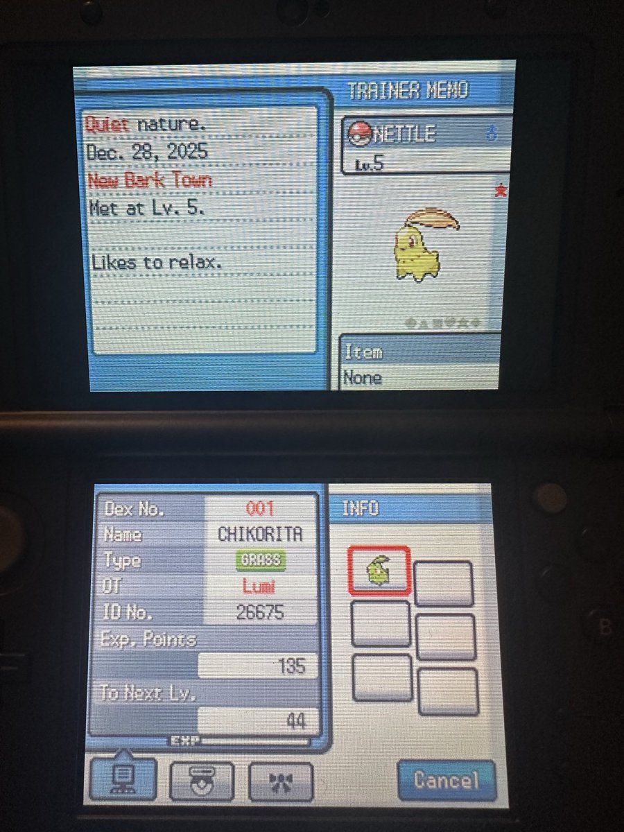Inspired by <a href="/chuggaaconroy/">Chuggaaconroy</a>’s new SoulSilver Let’s Play, I did a shiny hunt and got a Chikorita! I didn’t count encounters but it has been a couple days.
