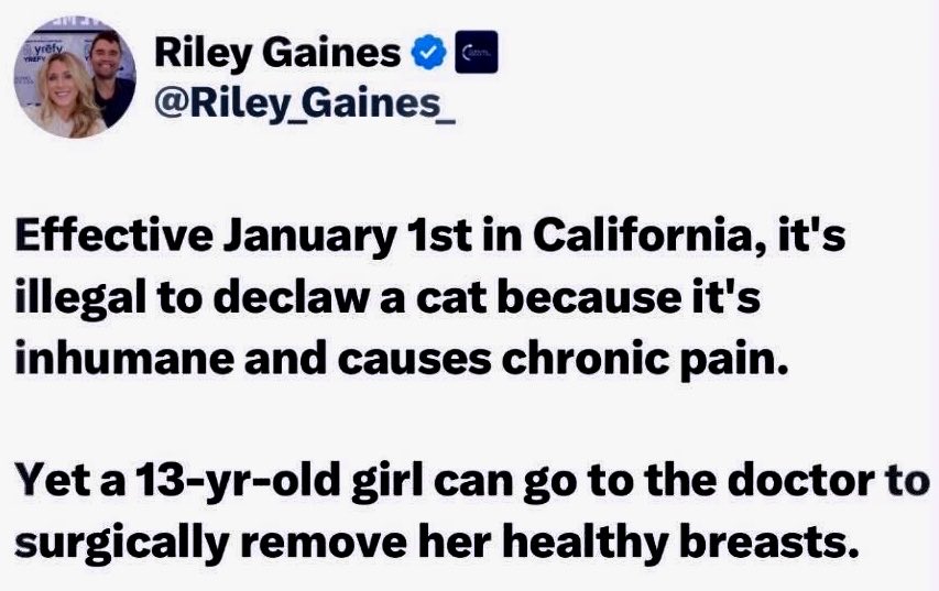 _Canach's tweet image. 