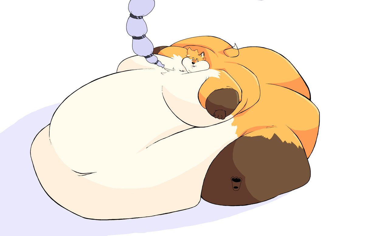 Something for the russell! this fat fox being his natural wide self. nothing out of the ordinary!