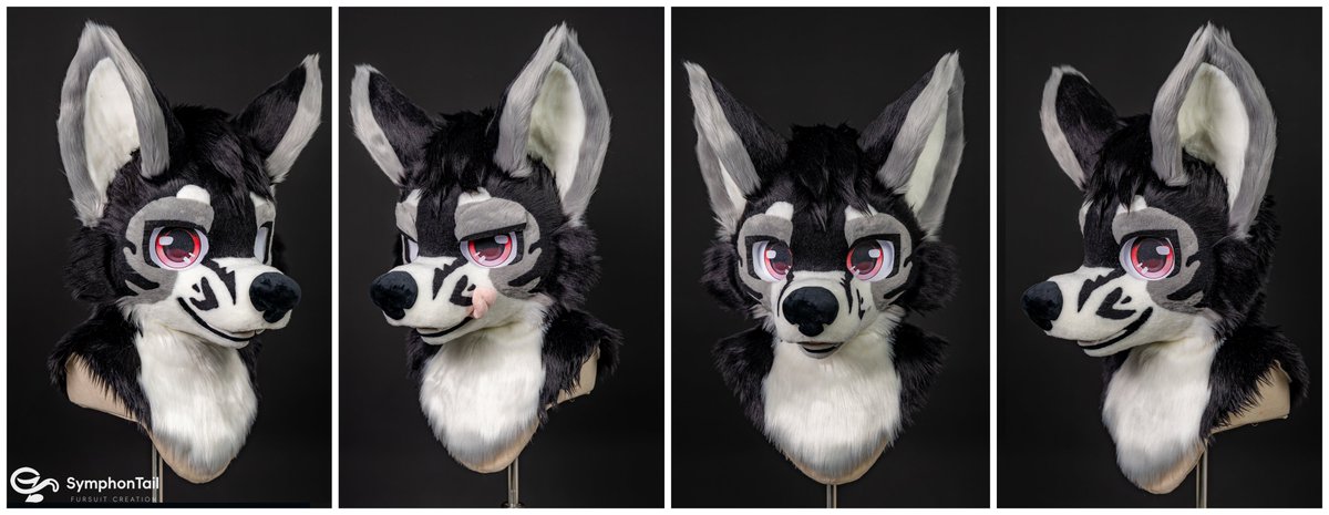 ✨Fursuit Commission Work✨
This commission was made for <a href="/HunterDaHusky/">Hunter Husky</a>.

Thank you for trusting our work!  

#fursuit #furry #fursuitmaker #fursuitcommission #SymphonTail