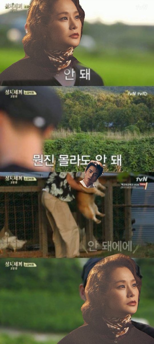 🦋⁰⁴¹⁷ ⁰⁴²⁵ ⁰⁵⁰² ➡️태산 tweet media