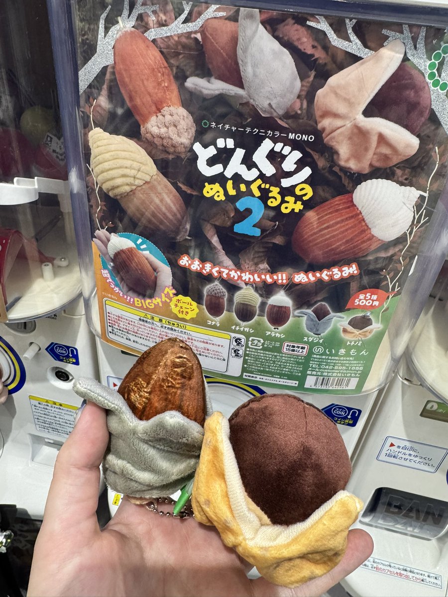 どんぐり。他の方は購入しないで下さい。 どんぐりの人 (@donguribito) / Posts / X