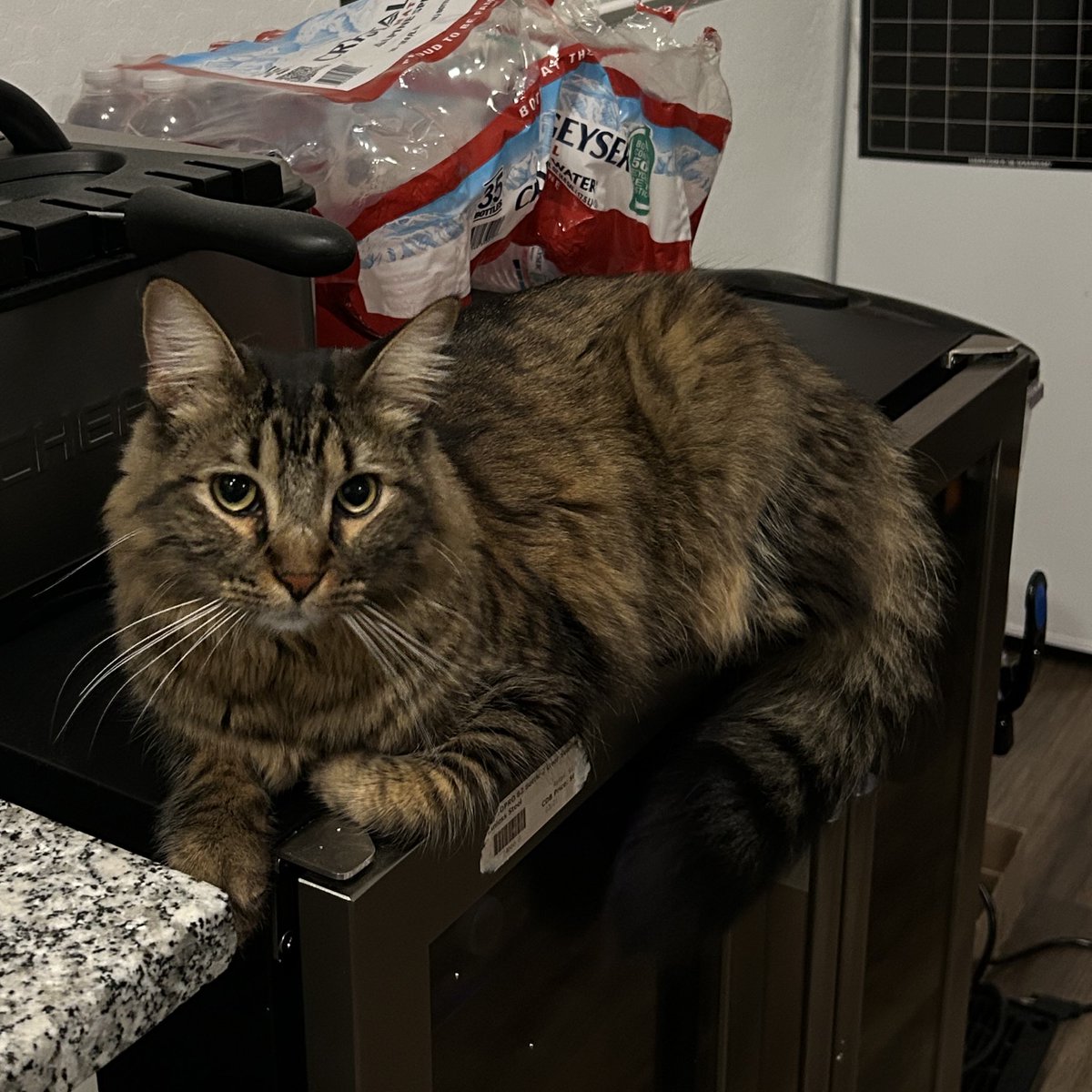 ⋆｡˚꩜ 🍧Chez (@venatiza) on Twitter photo 