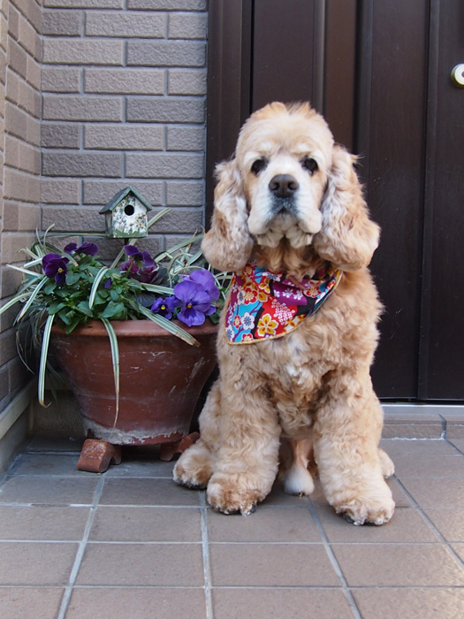 めるも「ボク うぃん、弟はエア 妹はエイル よろしくね