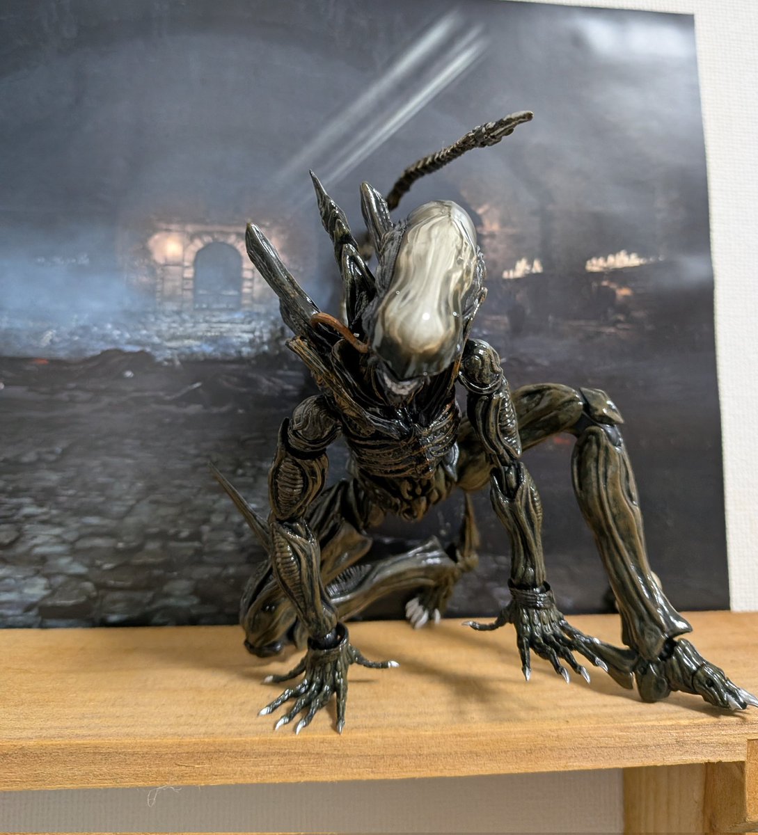 Stryker Wang (@s250_MKII) / Posts / X