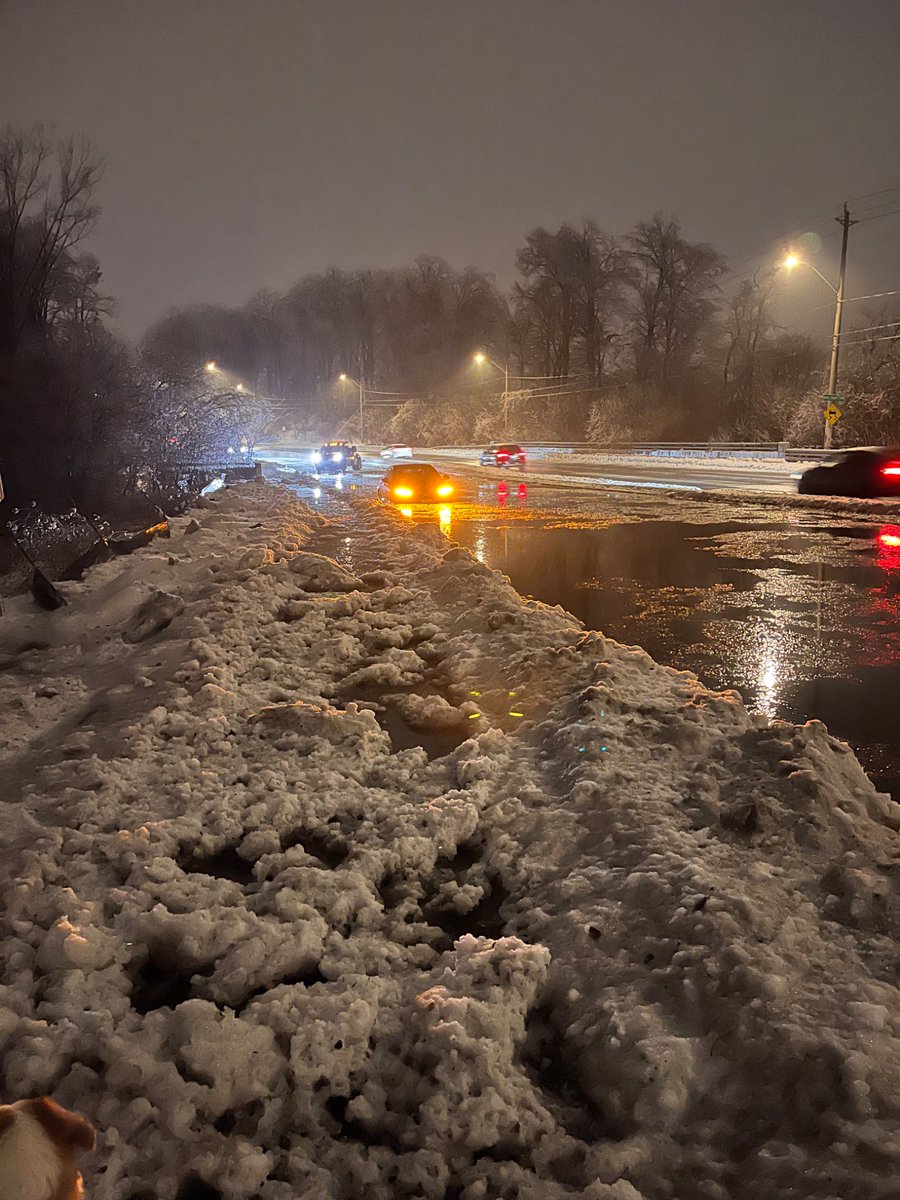 Teri Lynch tweet media