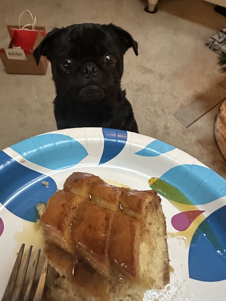 No sir, it’s mine. #pug