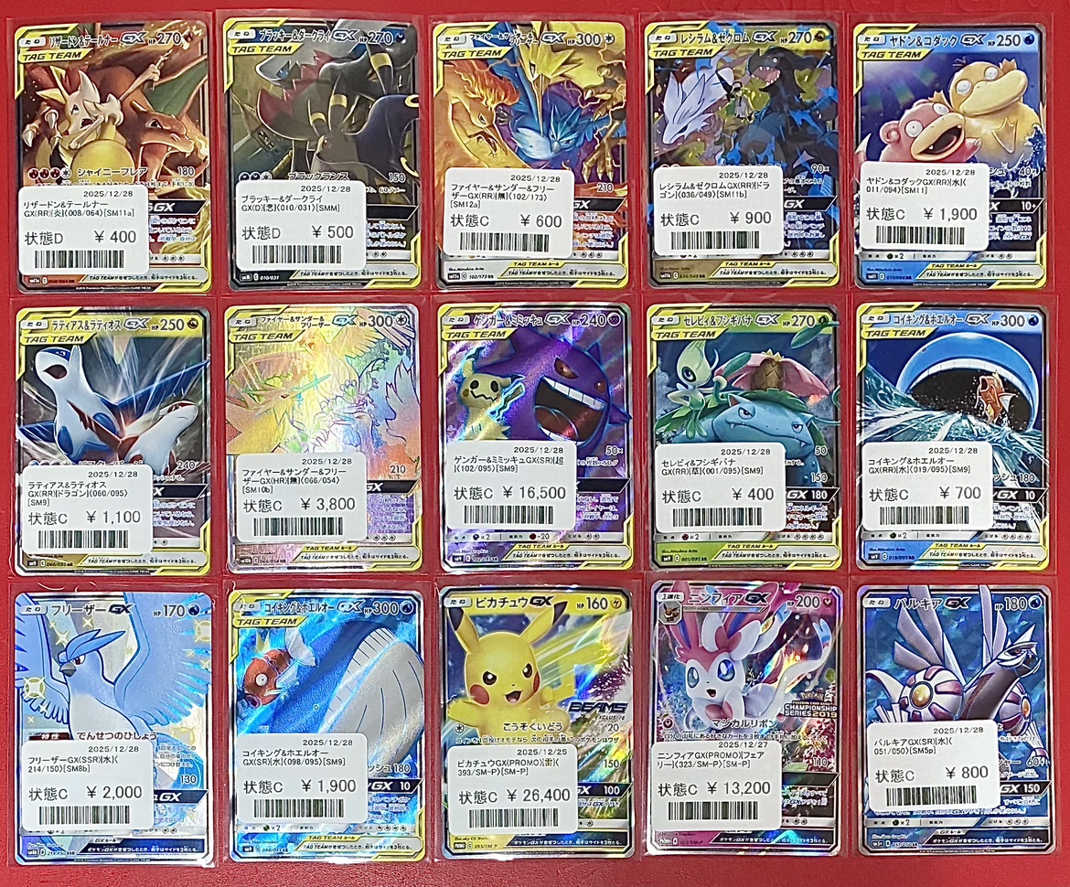 タッグチームまとめ売り　22種類　セミコンプ タッグチームまとめ売り 22種類 セミコンプ