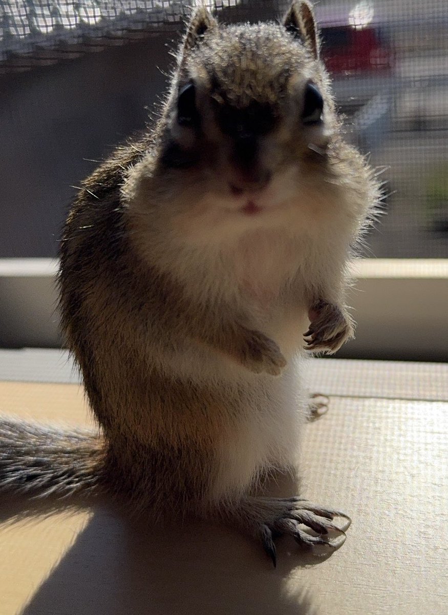 まーちゃん tweet media