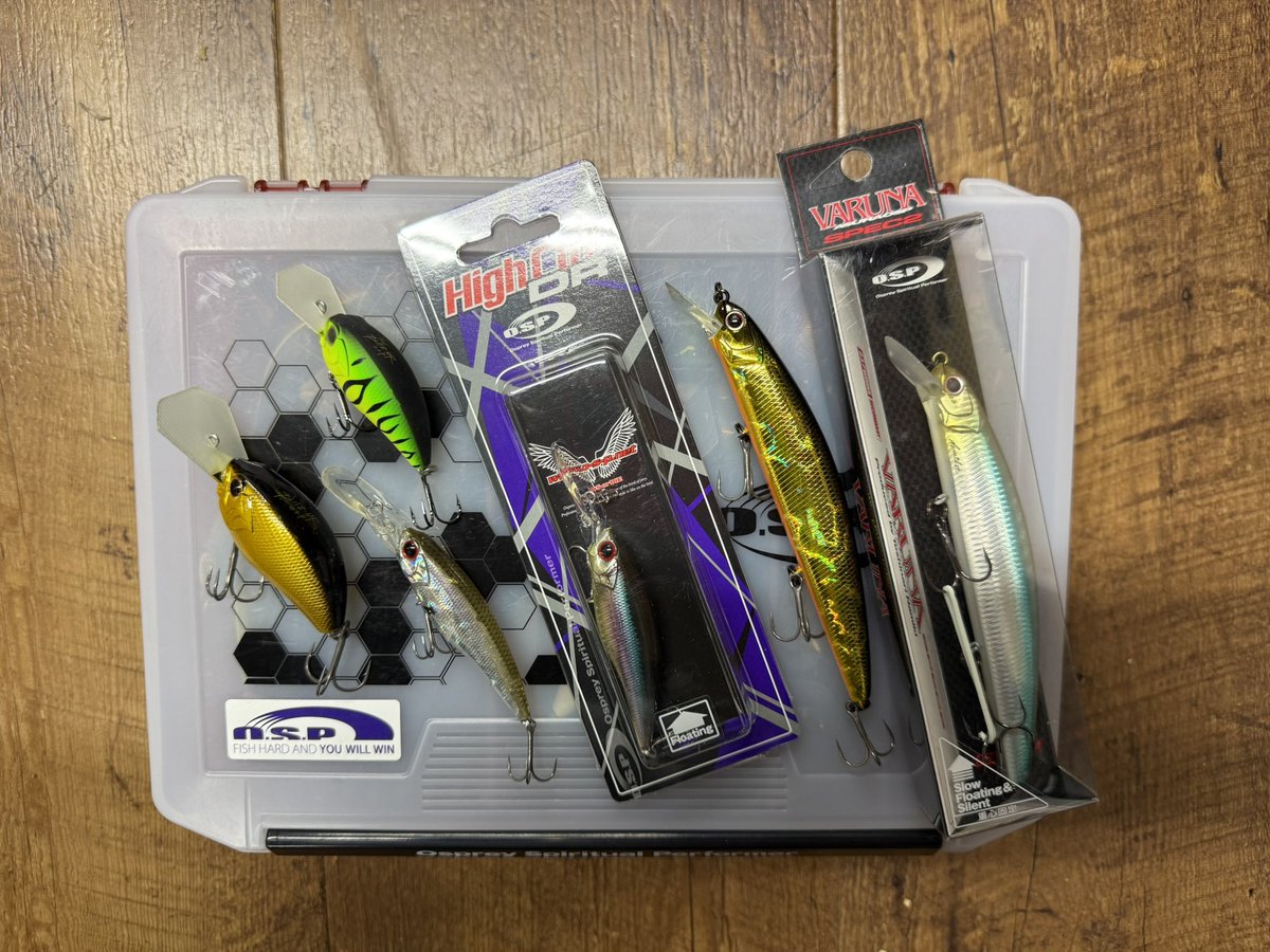 Toshinari Namiki並木敏成 (@TNamikiOfficial) / Posts / X