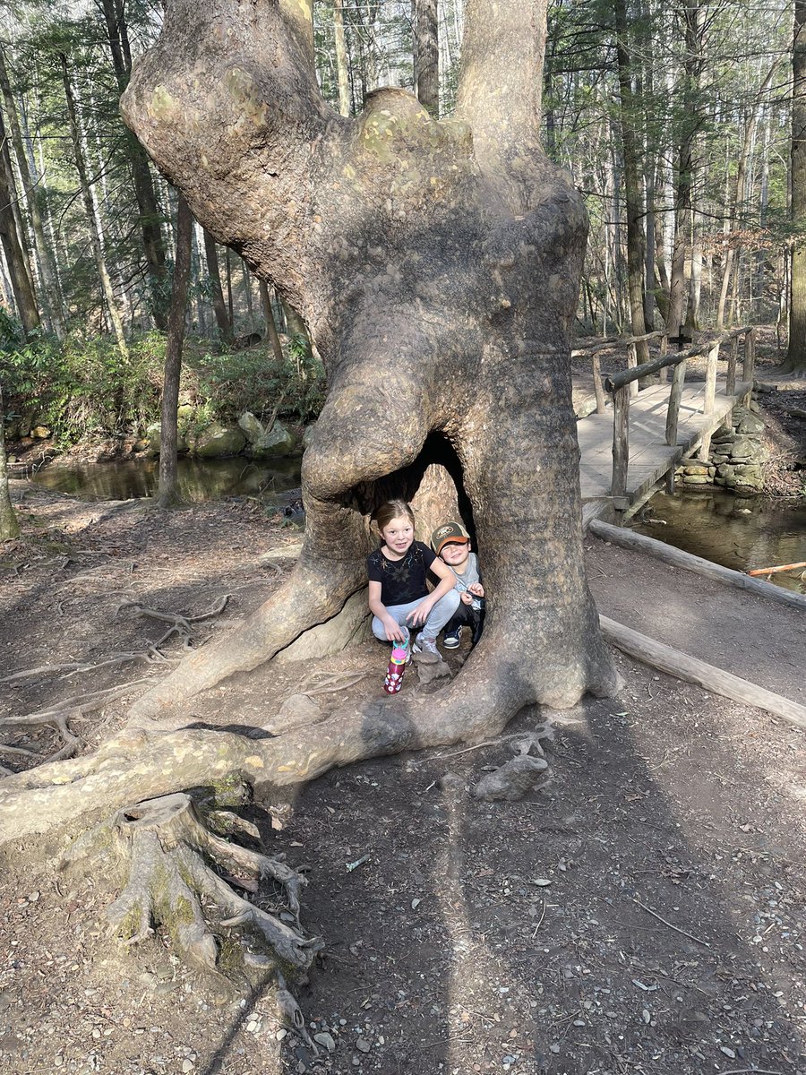 Hiking in the Great Smoky Mountains National Park