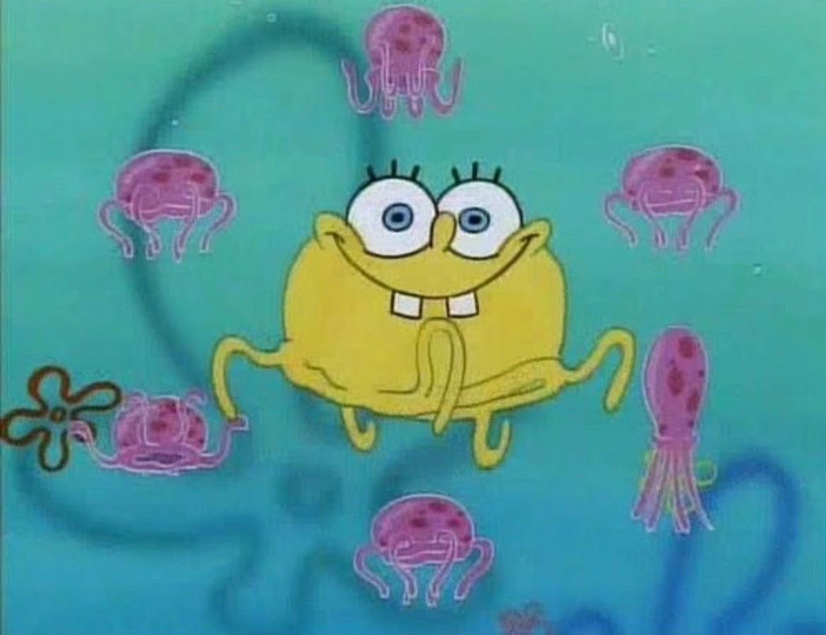 SpongeBob Daily tweet media
