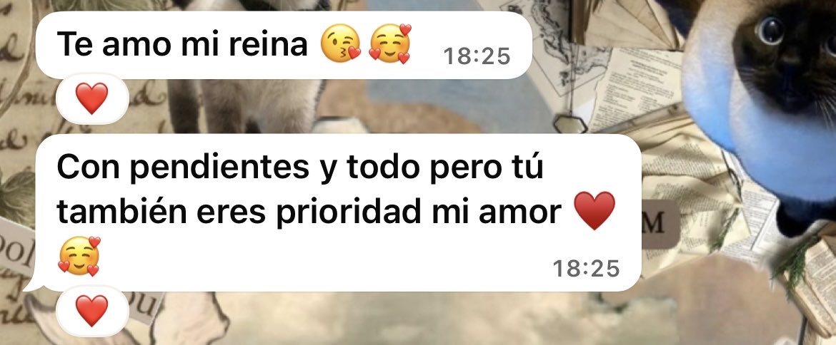 Mi tipo: