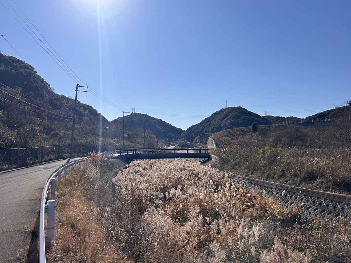 futurefitting's tweet image. ススキしかない