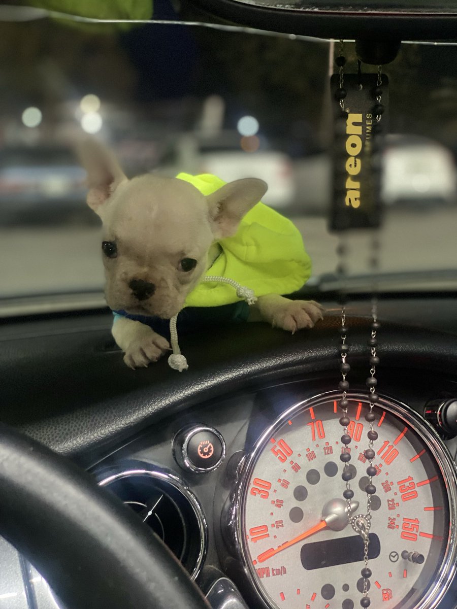 Suena 
No me hable de gente - Sujeto Oro 24