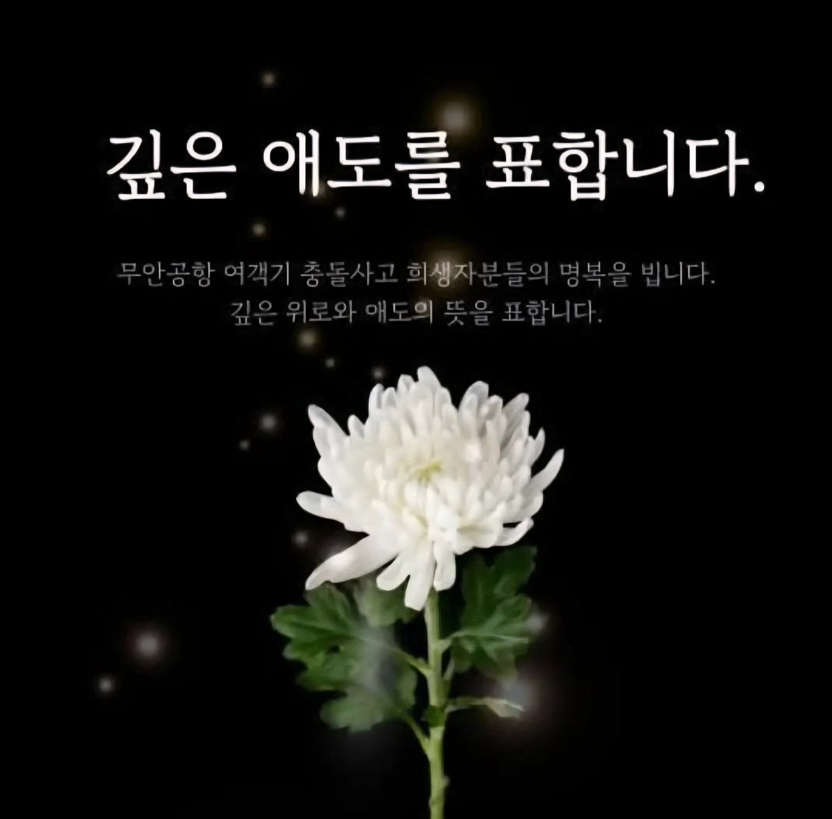 #새미래민주당 #기억하라1229 #무한공항참사 #잊지않겠습니다 #이미영

[무안공항 참사 1주기]

179명의 시간이 멈춘 지 1년.
그곳은 선택적 정쟁의 희생양이 되어
책임자는 사라지고
슬픔조차 선별되었습니다

이 잔인한 현실 속에서,
오직 179분의 명복만을 빕니다